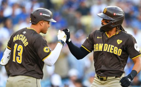 San Diego Padres: A Franchise Full of Passion, Power, and Potential