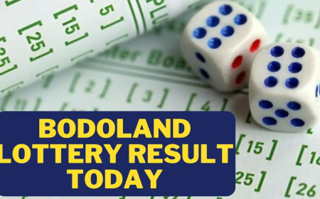 Bodoland Lottery Result Today Live: Check Winning Numbers Instantly