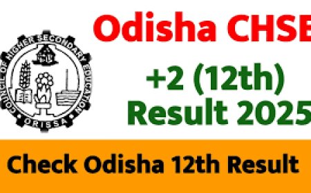 CHSE Result Date 2025 Time Released Today