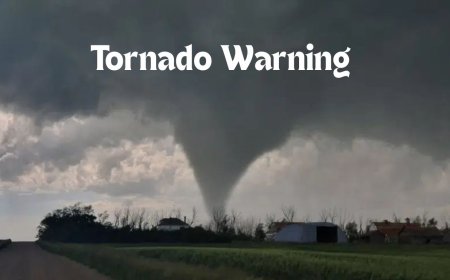 Tornado Warning in Michigan Today: What You Need to Know