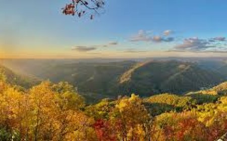 Somerset, Kentucky: Where Southern Charm Meets Natural Beauty