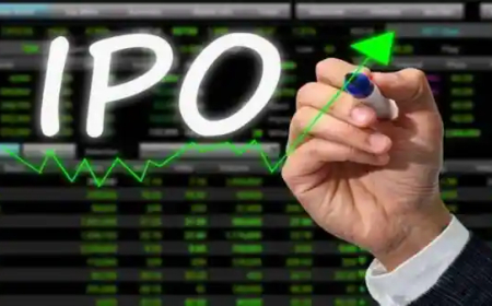 IPO Allotment Status: A Complete Guide for Investors