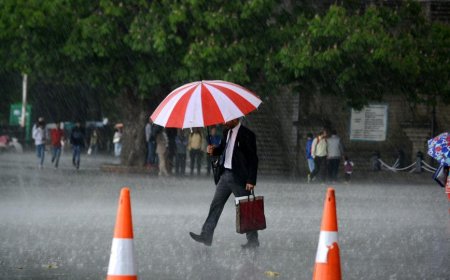 Severe Rainfall Alert: What You Need to Know and How to Stay Safe