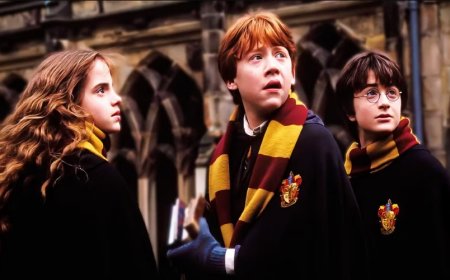 The Return to Hogwarts: Harry Potter Cast and HBO’s New Take on Hermione Granger