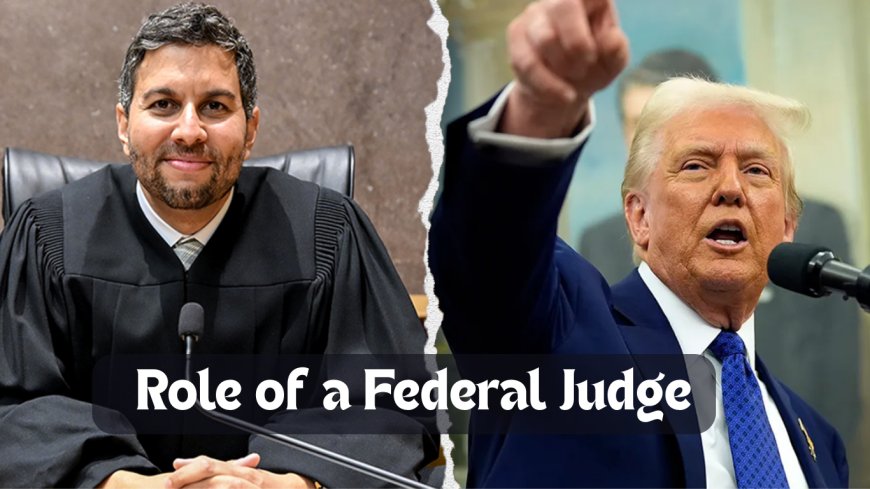 Understanding the Role of a Federal Judge