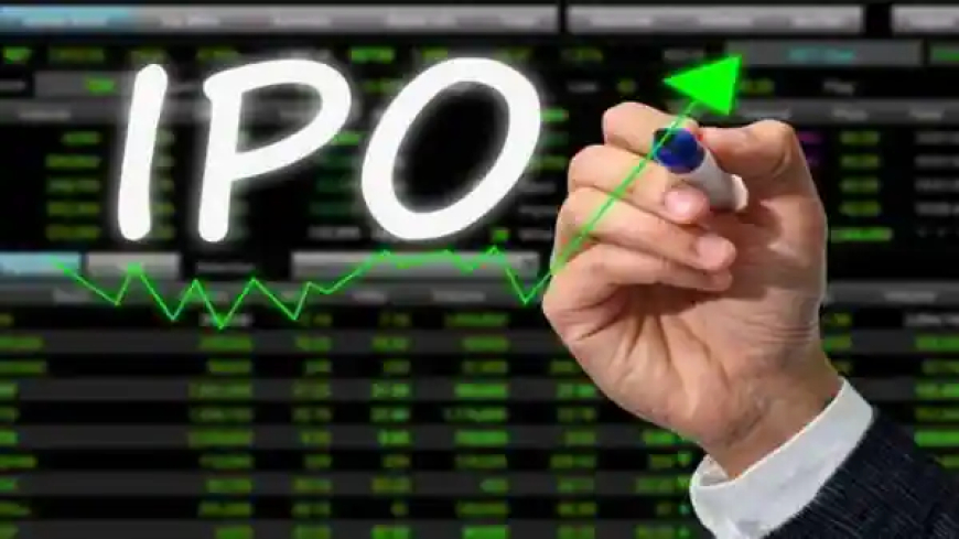 IPO Allotment Status: A Complete Guide for Investors
