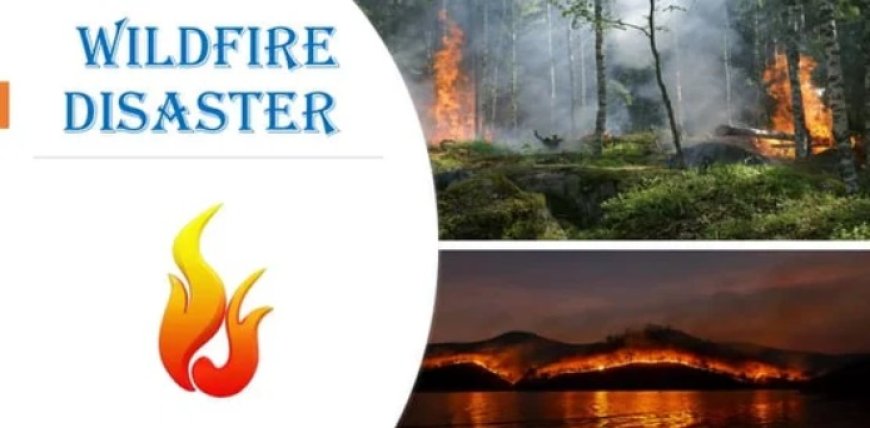 Wildfires: Causes, Impact, and Prevention