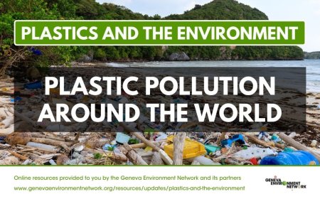 Plastic Pollution: A Global Crisis on World Environment Day
