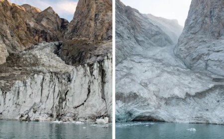 Dickson Fjord Today News: A Glimpse into the Present and Future of This Arctic Marvel