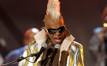 Sly Stone: The Legacy of a Funk Pioneer