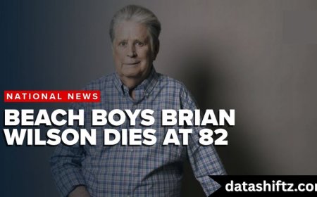 The Life and Legacy of Brian Wilson