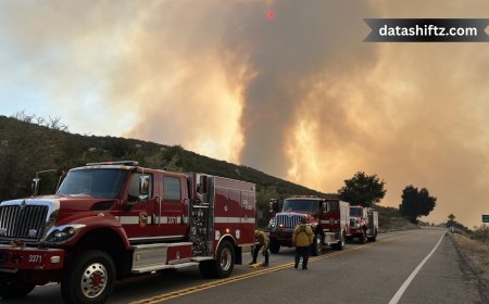 Wolf Fire Today: A Developing Wildfire in Riverside County