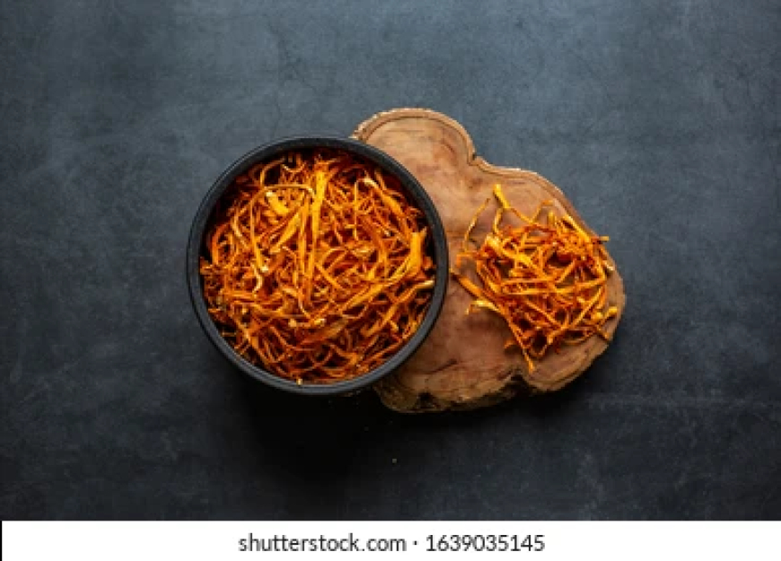 Understanding Chinese Fungus: The Mysterious and Medicinal Cordyceps