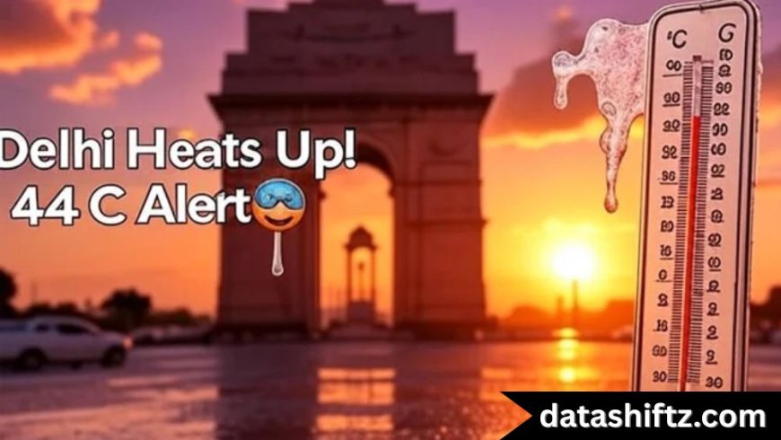 Delhi Weather: Battling the June Heat