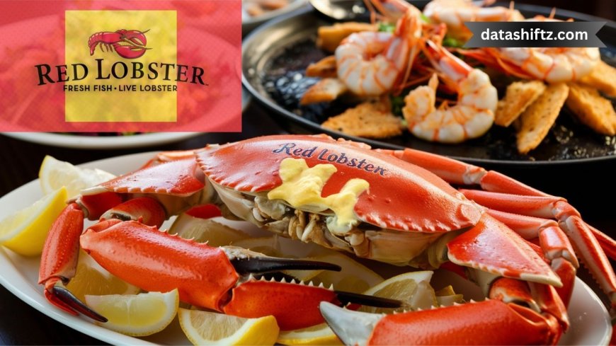 Red Lobster Seafood Boils and Crabfest: Today’s News and Delicious Highlights