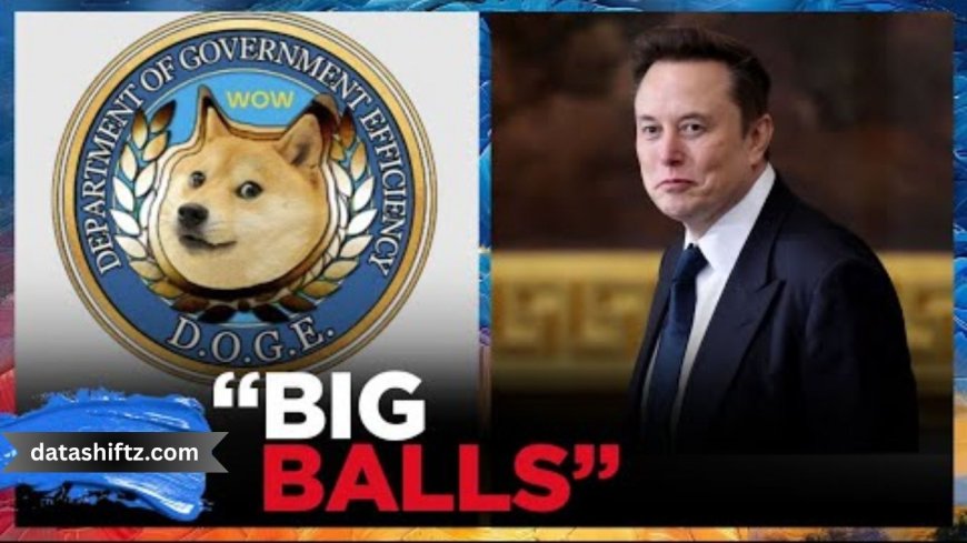 Big Balls Steps Down from Dogecoin Leadership – What’s Next?
