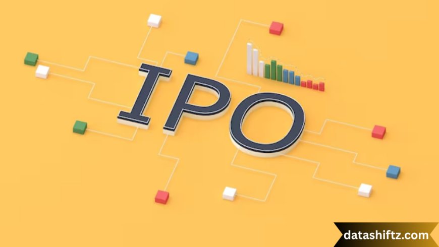 IPO Allotment Status: A Comprehensive Guide for Investors