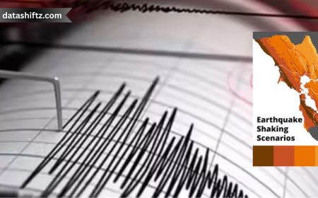 Bay Area Earthquake: Latest Updates and Safety Information