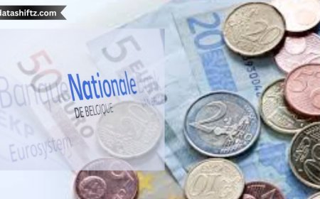 A Decade of Decline: Why Belgium's Richest 10% Are Losing Wealth