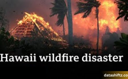 Maili Fire: Understanding the Devastation and Community Resilience in Hawai‘i