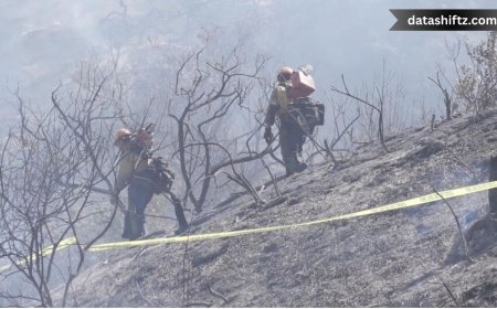 Laguna Beach Brush Fire: “Rancho Fire” Sparks Evacuations and Concerns
