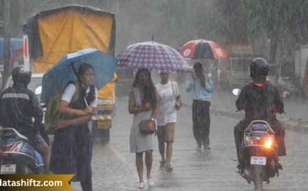 Severe Rainfall Alert: Understanding the Warning and Staying Prepared