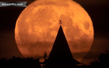 Full Moon Tonight: Buck Moon