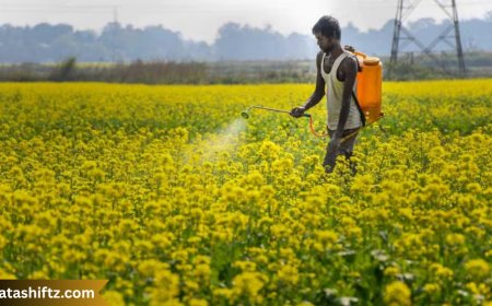 PM-Kisan: A Comprehensive Guide to India’s Flagship Farmer Welfare Scheme