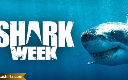 Shark Week – A Deep Dive into the Ocean's Most Exciting Television Event