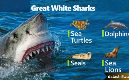Great White Sharks: Kings of the Ocean Depths
