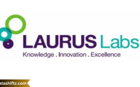 Laurus Labs Share Price: Performance, Drivers & Investment Outlook