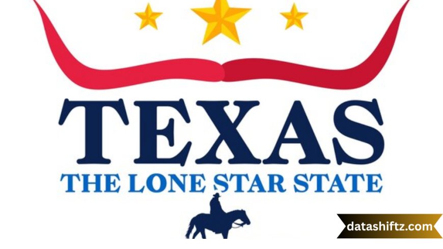 Texas: The Lone Star State of Opportunity and Diversity