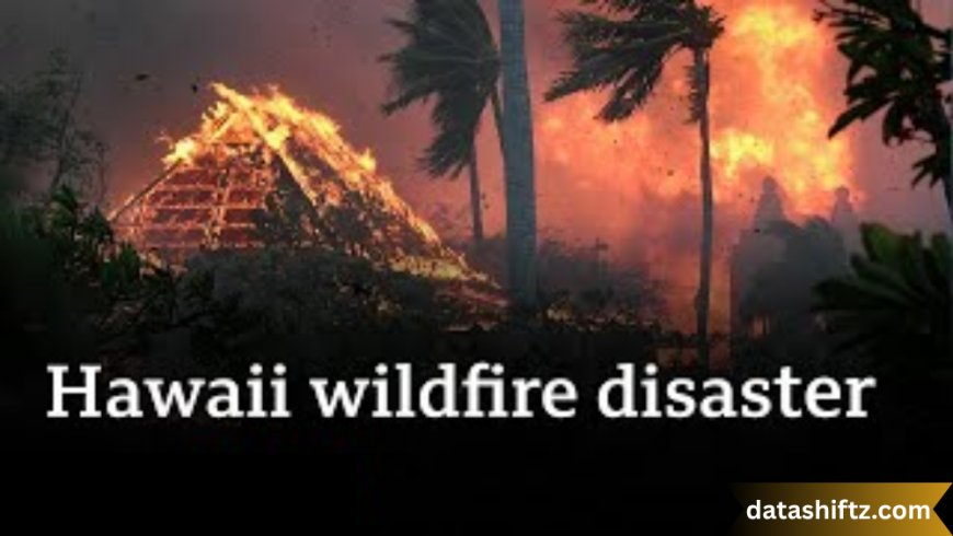 Maili Fire: Understanding the Devastation and Community Resilience in Hawai‘i