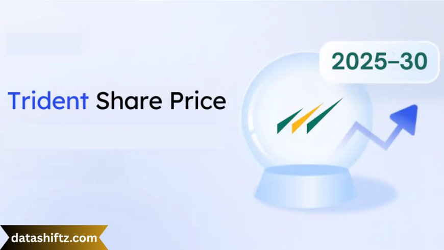 Trident Share Price: Market Performance, Growth Potential & Investment Insights