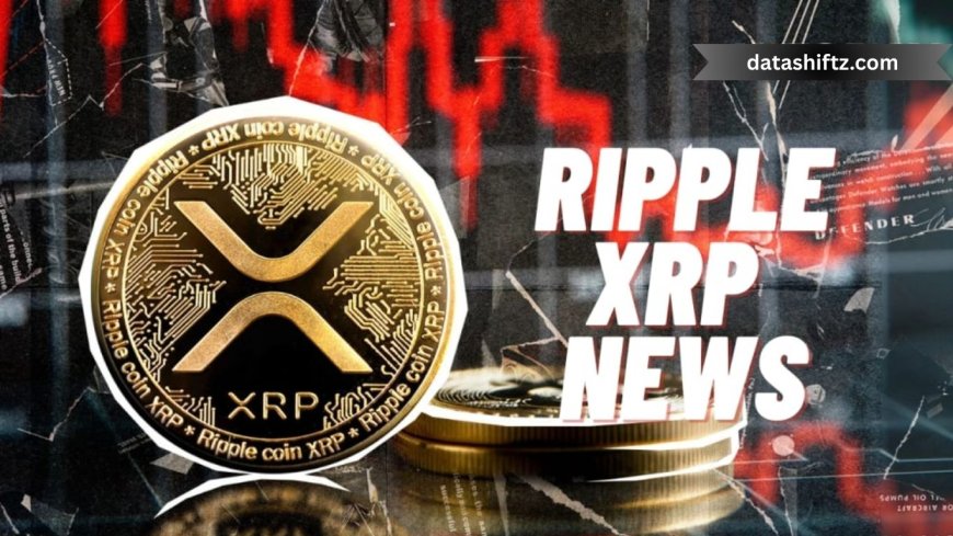 XRP Market Update: July 2025 Insights & Trends