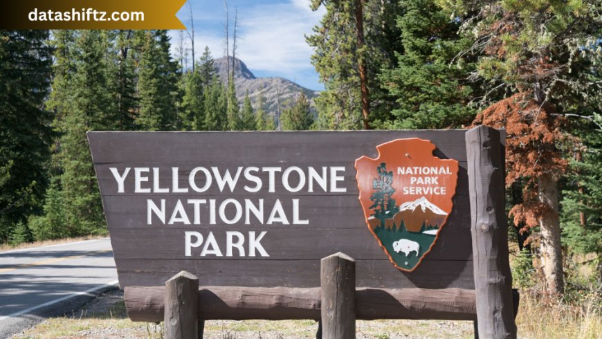 Yellowstone: Nature’s Crown Jewel of the American West