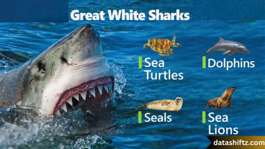 Great White Sharks: Kings of the Ocean Depths