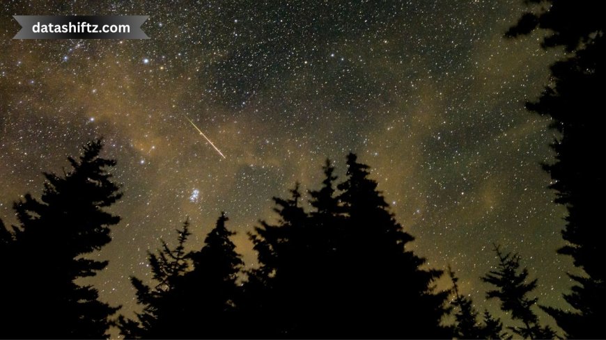 Meteor Showers Lighting Up the Sky