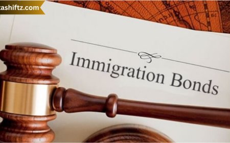 Visa Bonds Immigration: Understanding the Role, Process, and Impact