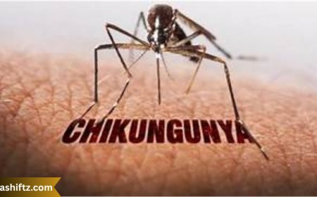 Chikungunya Virus: Understanding the Mosquito-Borne Threat