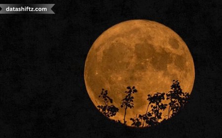 August 2025 Full Moon: Lunar Spectacle Unveiled