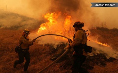 Canyon Fire: Urgent Developments and Ongoing Response
