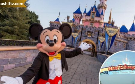 Walt Disney World: The Ever-Evolving Kingdom of Magic and Innovation