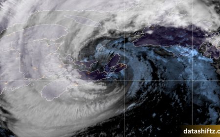 National Hurricane Center: The Guardian of Storm Safety