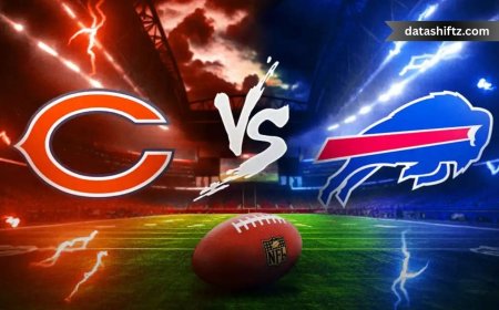 Bills vs Bears Preseason Game: Full Breakdown and Highlights