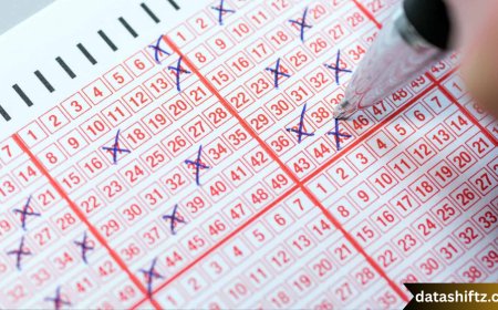 SS 481 Lottery Result: Complete Guide to Check and Understand