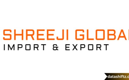 Shreeji Shipping Global IPO GMP: What It Means for Investors