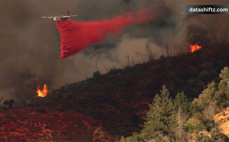 Calistoga Fire Today: What You Need to Know