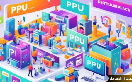 Understanding “PPU”: Meaning, Uses, and Applications Across Contexts