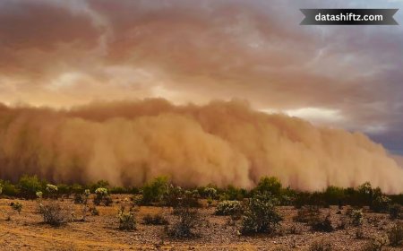 Massive Haboob Strikes Phoenix: What You Need to Know